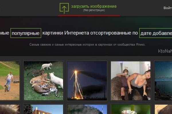 Что продают в кракен маркете