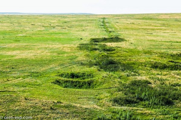 Что такое кракен в интернете