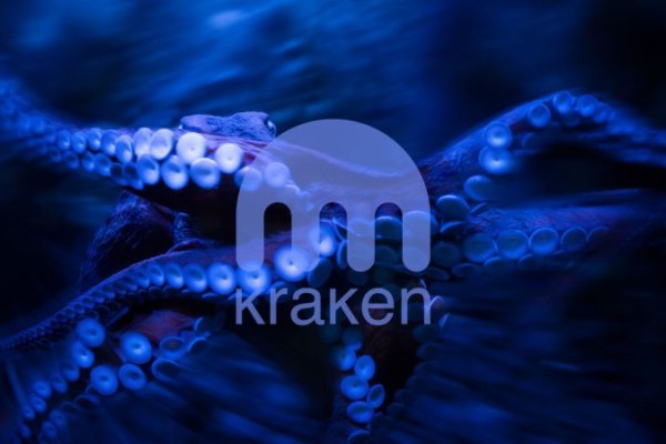Как вывести деньги с kraken