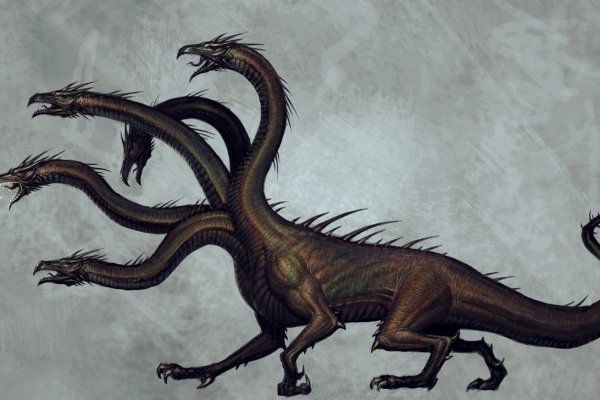 Kraken onion link