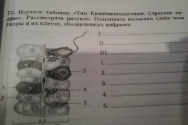 Ссылка на сайт кракен в тор браузере
