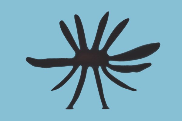 Ссылки зеркала на kraken kraken dark link