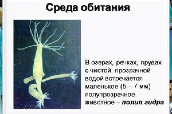 Кракен без впн