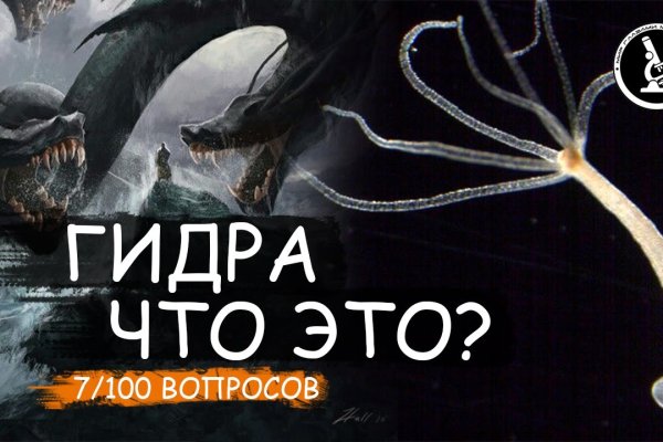 Kraken 13 at