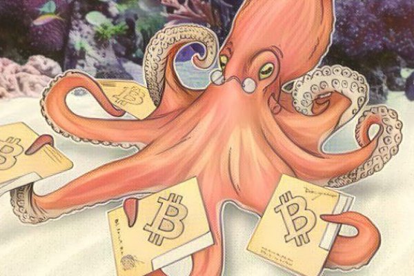 Как вернуть аккаунт на кракене