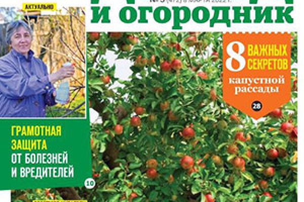 Кракен современный даркнет маркет плейс