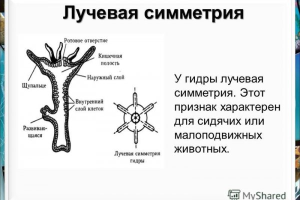 Kraken ссылка актуальная москва