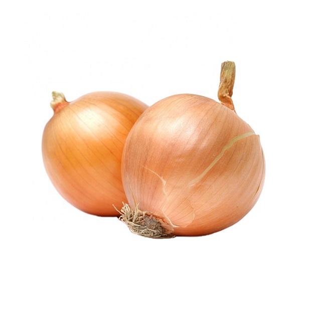Kraken onion вход