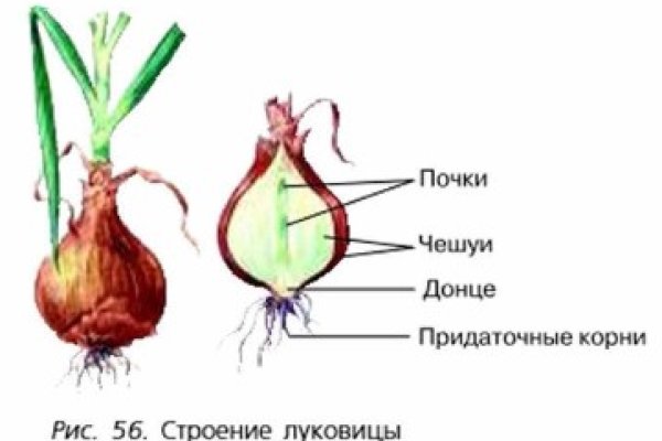 Восстановить доступ к кракену